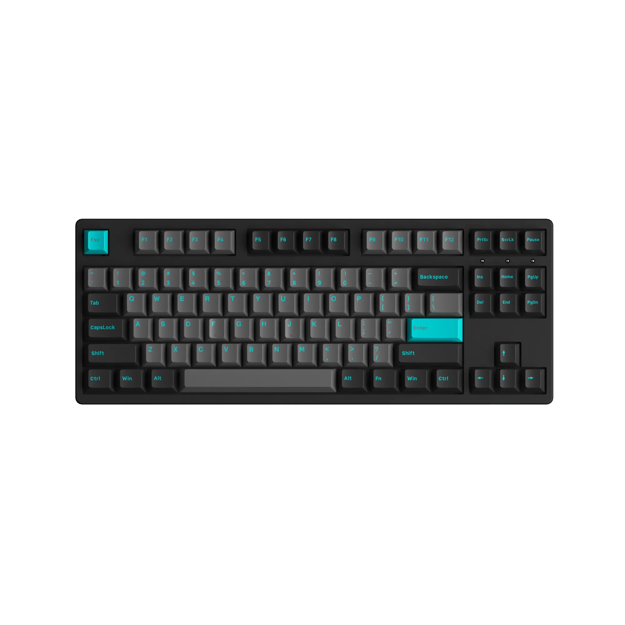 Black & Cyan 3087 Plus