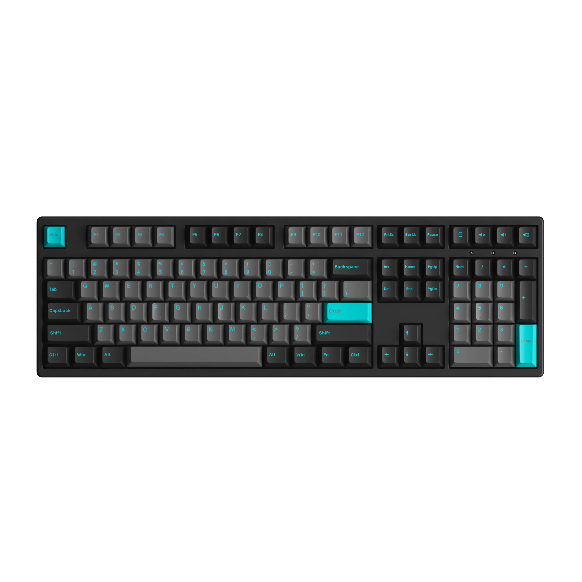 Black & Cyan 3108 Plus