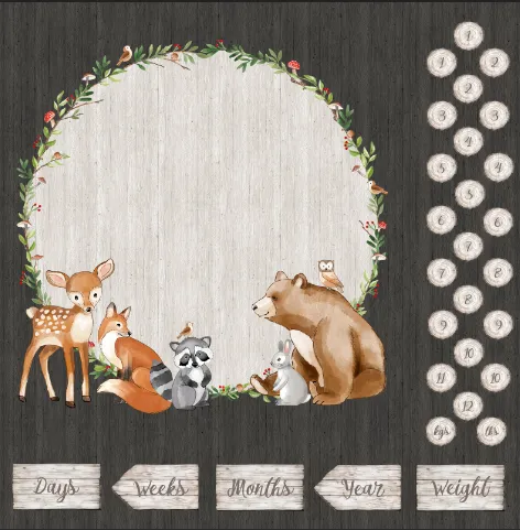 Woodland Adventures